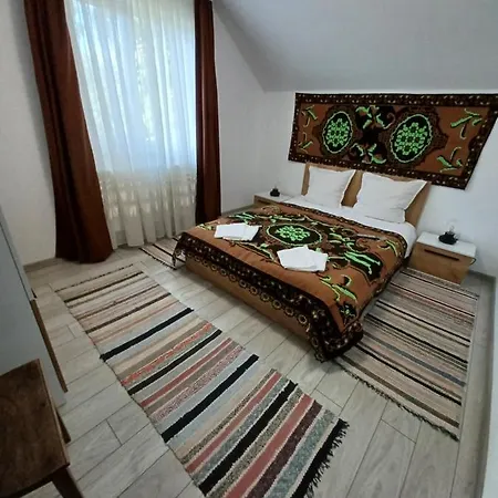 Casa Pandrea Guest House Cartisoara Exterior photo