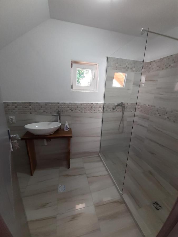 Casa Pandrea Cîrţişoara