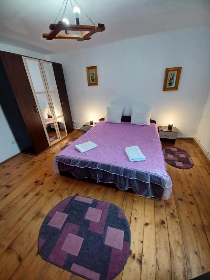 Casa Pandrea * Cîrţişoara
