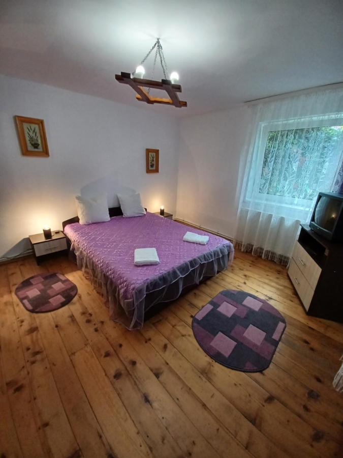 Casa Pandrea *